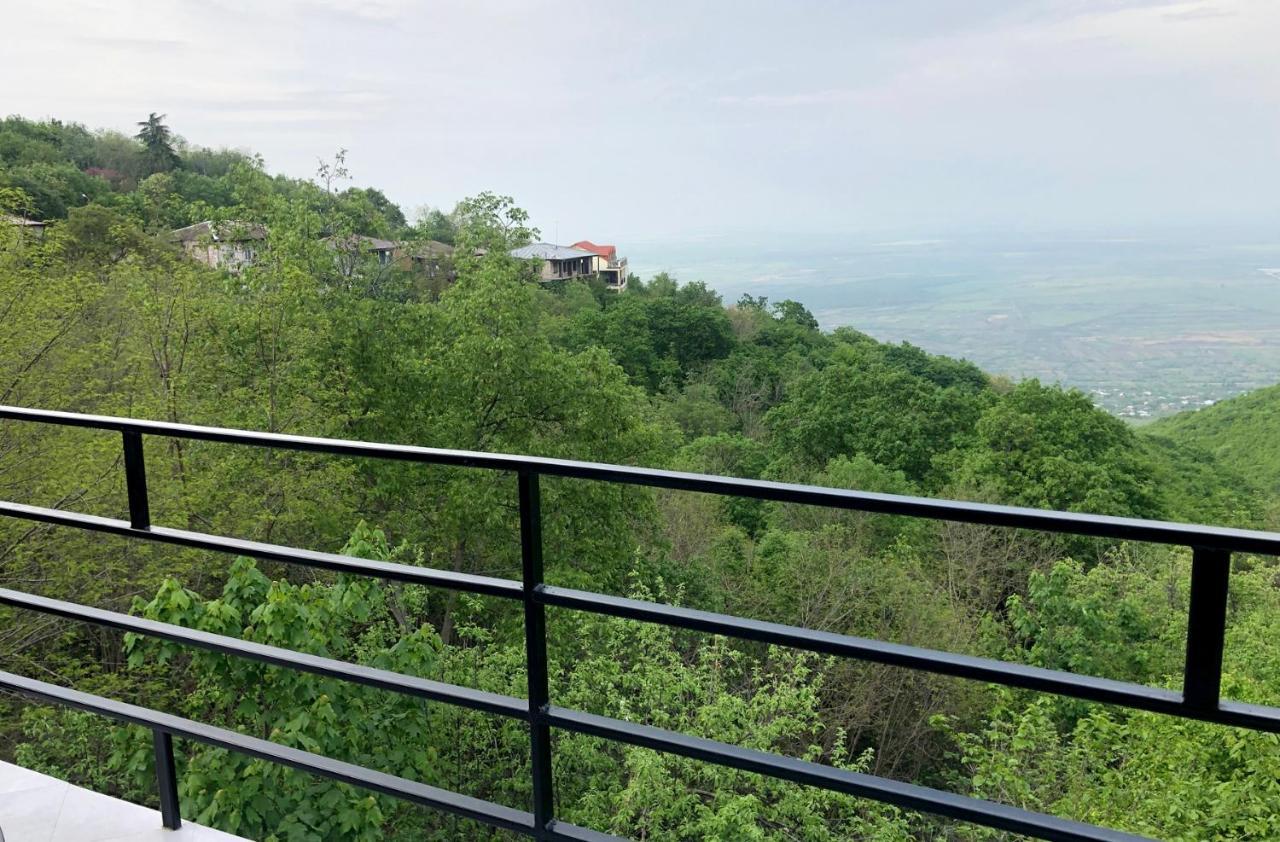 Hotel Martinichi Sighnaghi Zewnętrze zdjęcie
