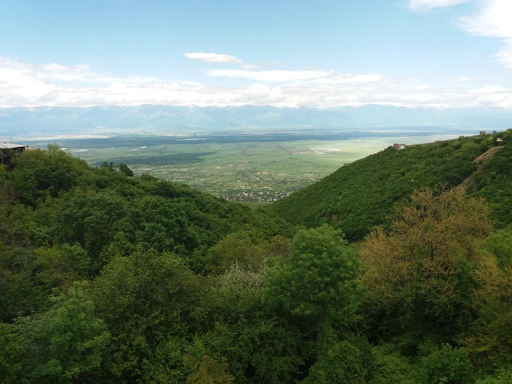 Hotel Martinichi Sighnaghi Zewnętrze zdjęcie